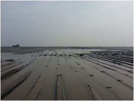 通州灣項目如期復工，現(xiàn)場士氣高昂